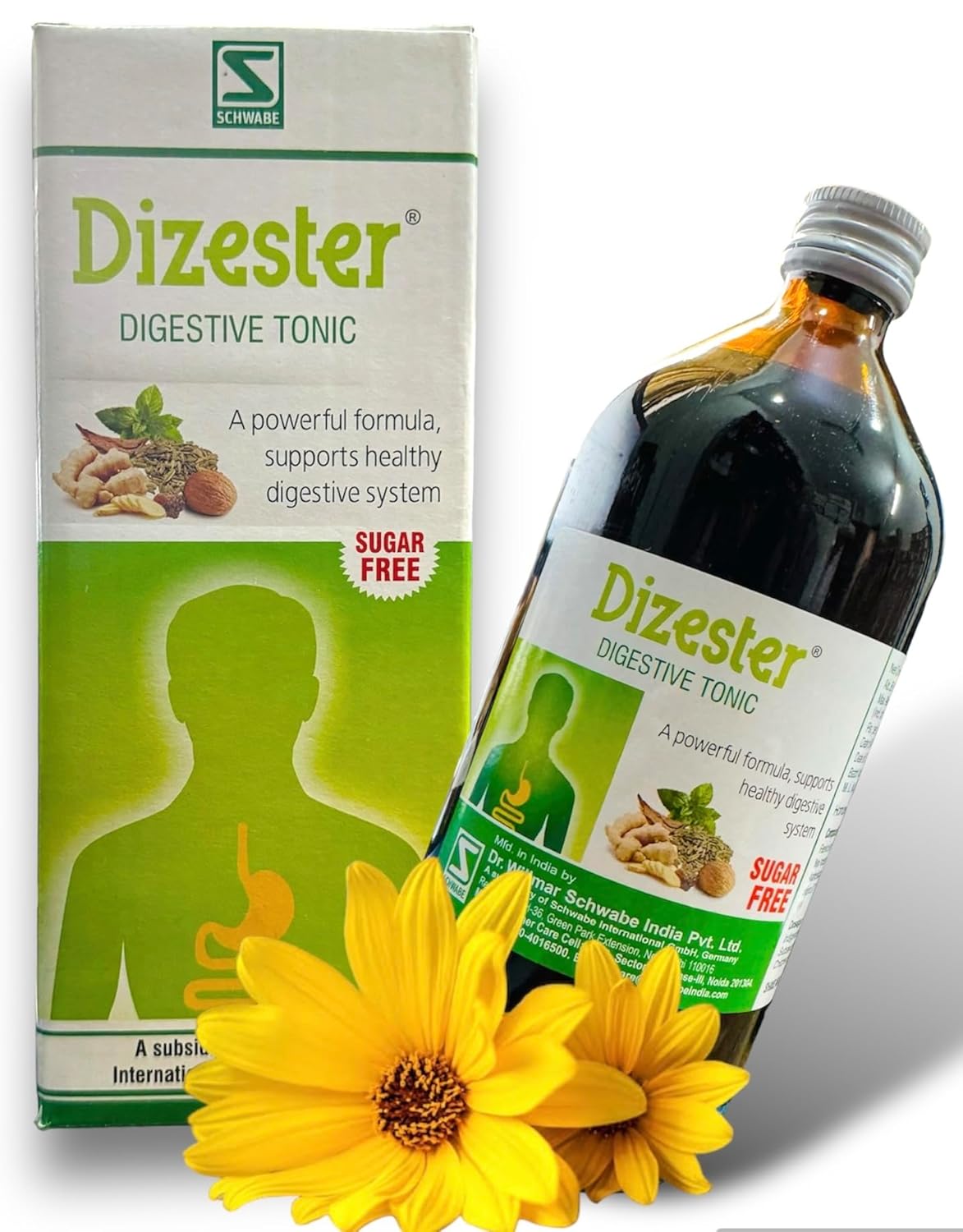 alc06 Willmar Schwabe Dizester Digestive Tonic 500ml BIG SIZE PACK