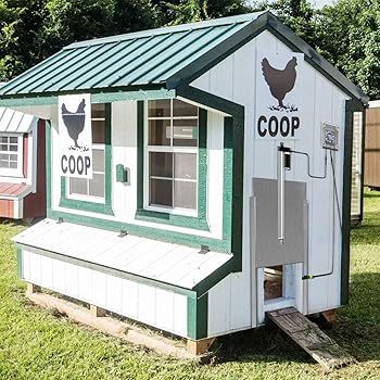 Amazon.com : JVR Automatic Chicken Door Coop Opener Kit with Safety ... - 71DABhmjWRL. AC SS350 