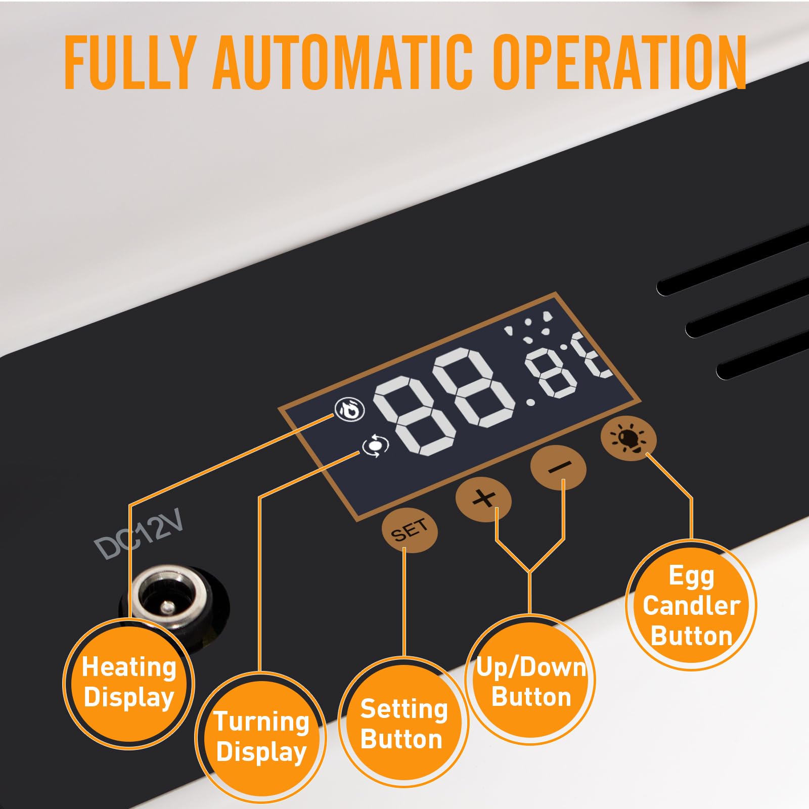 Todeco Couveuse Automatique 48 Œufs, Incubateur avec Température Réglable | Retournement Automatique, Humidification Automatique, Mire-œufs LED, Double Alimentation Électrique, pour Volailles