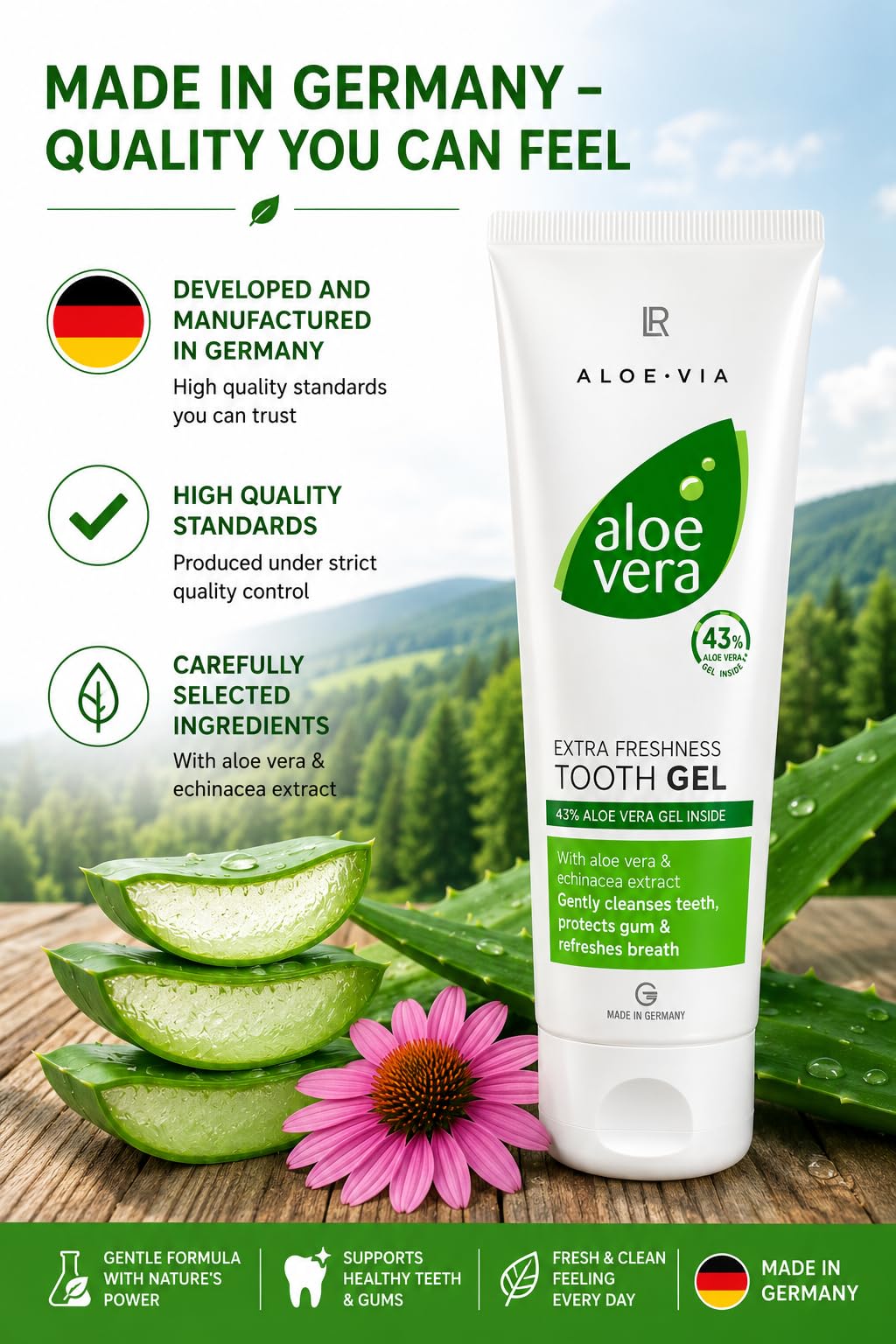 Amazon.com : Aloe Vera Tooth Gel - Extra Freshness Flouride-Free Toothpaste  by LR of Germany - 100 Ml - Active dental cleaning with Echinacea (1) :  Health & Household
