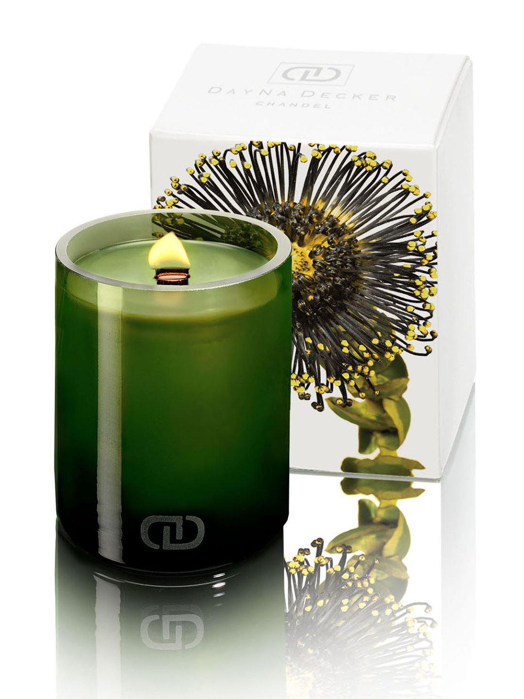 Amazon.com: Dayna Decker Botanika Chandel Candle, Taiga, 16 Ounce ...