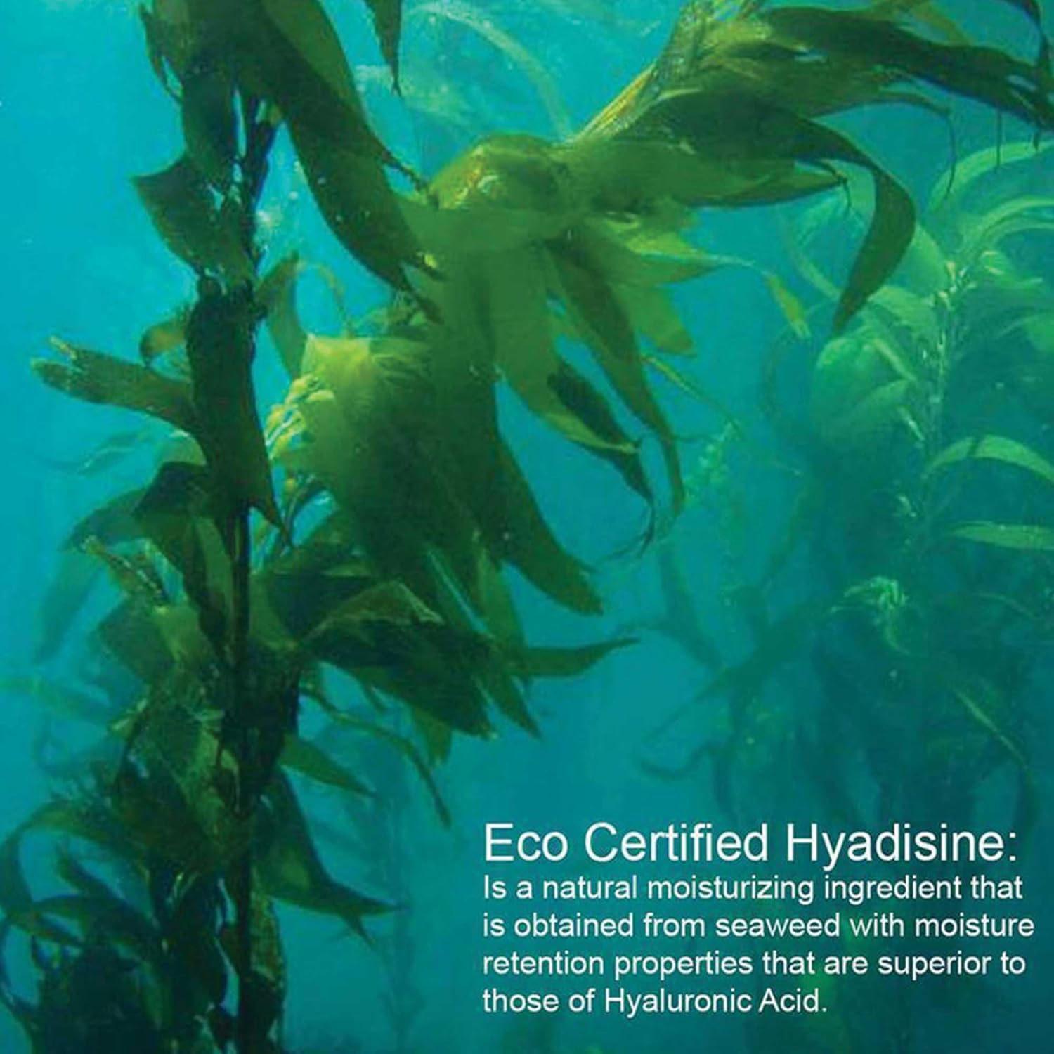 YASOU Vegan Night Cream (1.0oz) | Pro-Aging With Algae Hyadasine | Hydrating Face Moisturizer | Reduces Fine Lines And Wrinkles | Plumping | Promotes Collagen | For Radiant Skin | Handmade