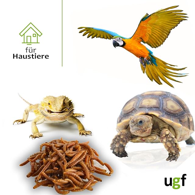 Foto 3 de 7 de UGF - Gusanos de harina Secos, 490 g, conserva, Aperitivos para pájaros, hámsteres, erizos, roedores…