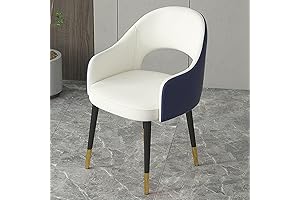 Upholstered Dining Room Chairs: Luxurious Elegance for Your Home