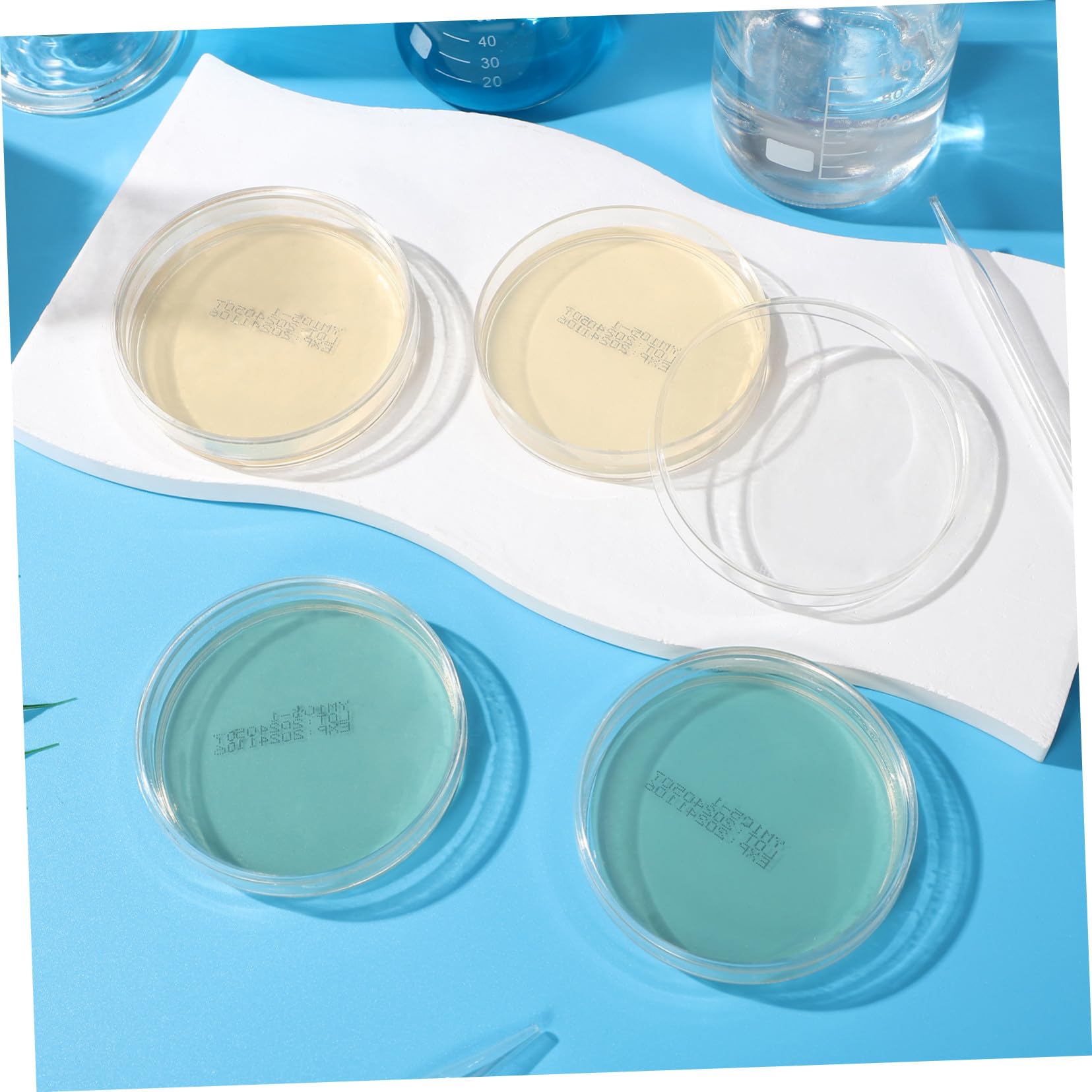 CLISPEED 10Piezas Placas de Petri de Agar Nutritivo Kit Científico de Unidades Experimentos de Microbiología Laboratorio y Clases de Ciencias
