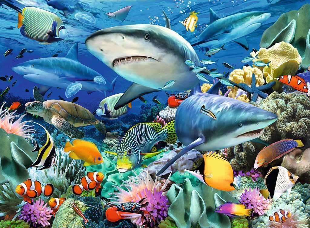 Ravensburger Shark Reef Jigsaw Puzzle - 100 Pieces -2 Ravensburger Shark Reef Jigsaw Puzzle - 100 Pieces -2