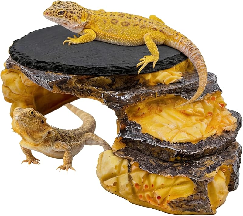 Esconderijo com Plataforma para Répteis e Pedra de Ardósia para Aquecimento JWIZYOTR QQ-8-3