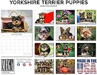 Vista 56 de Razas de Perros 2017