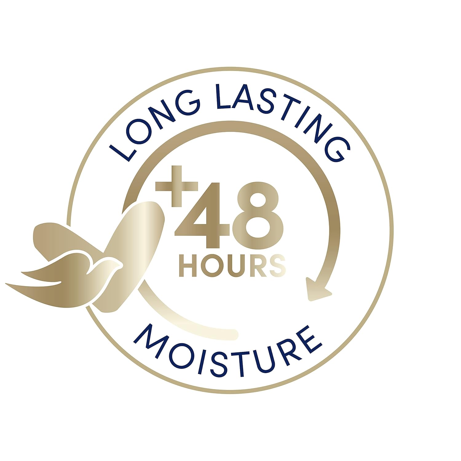 Dove Body Love Body Lotion for Reoccuring Dry Skin Restoring Care Visibly Improves Very Dry Skin 13.5 oz 3 Count : Beauty & Personal Care