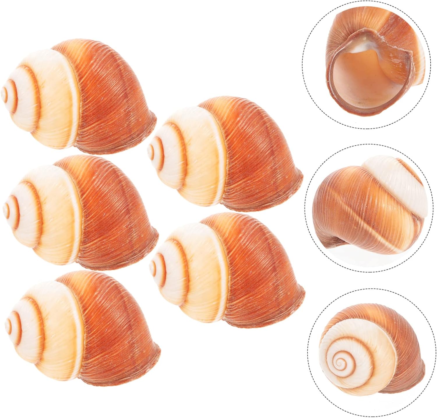 10pcs Food Grade Escargot Shells Snail Plate for Kitchen Decor Safe Baking Snail Shells Accessories