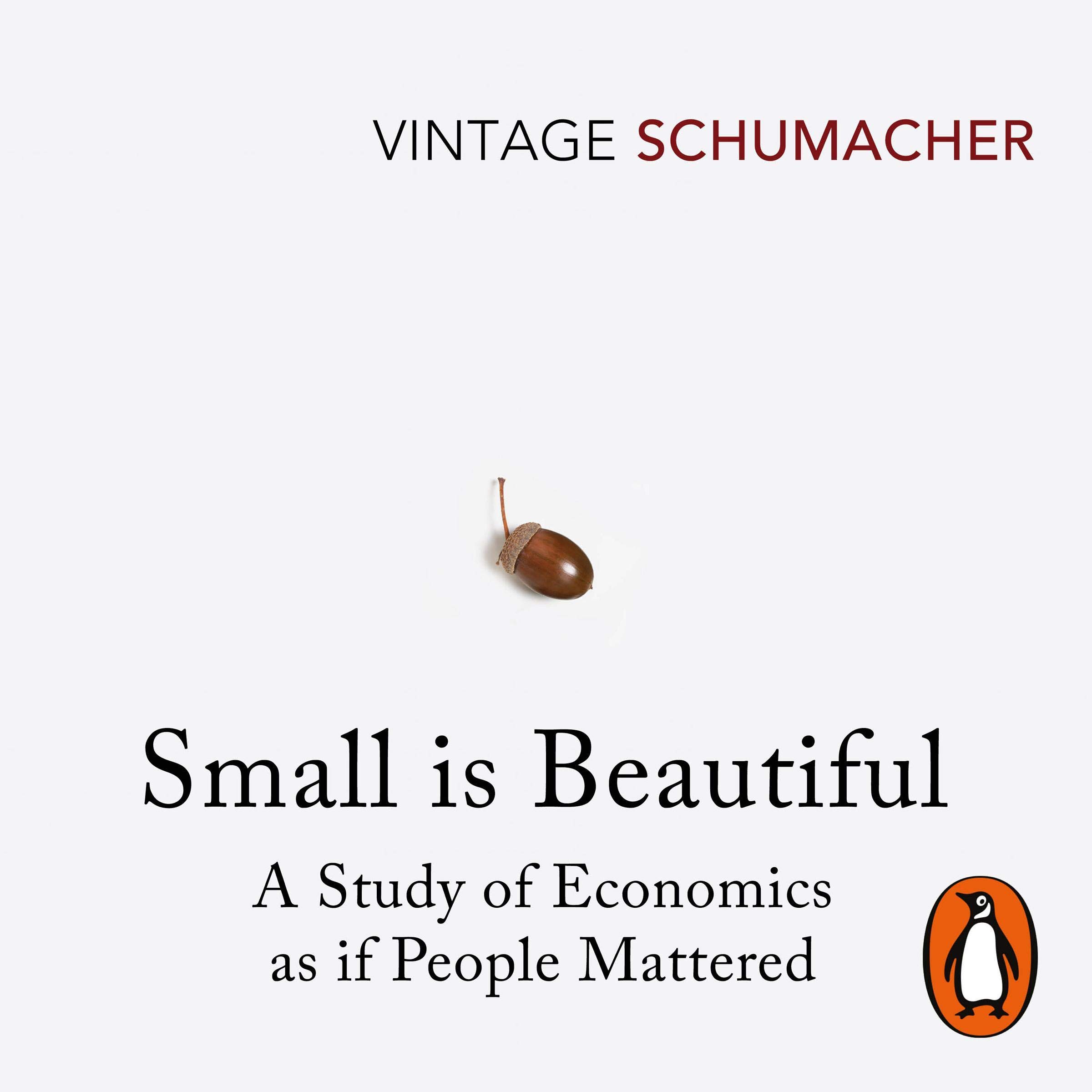 Cover art for Small Is Beautiful