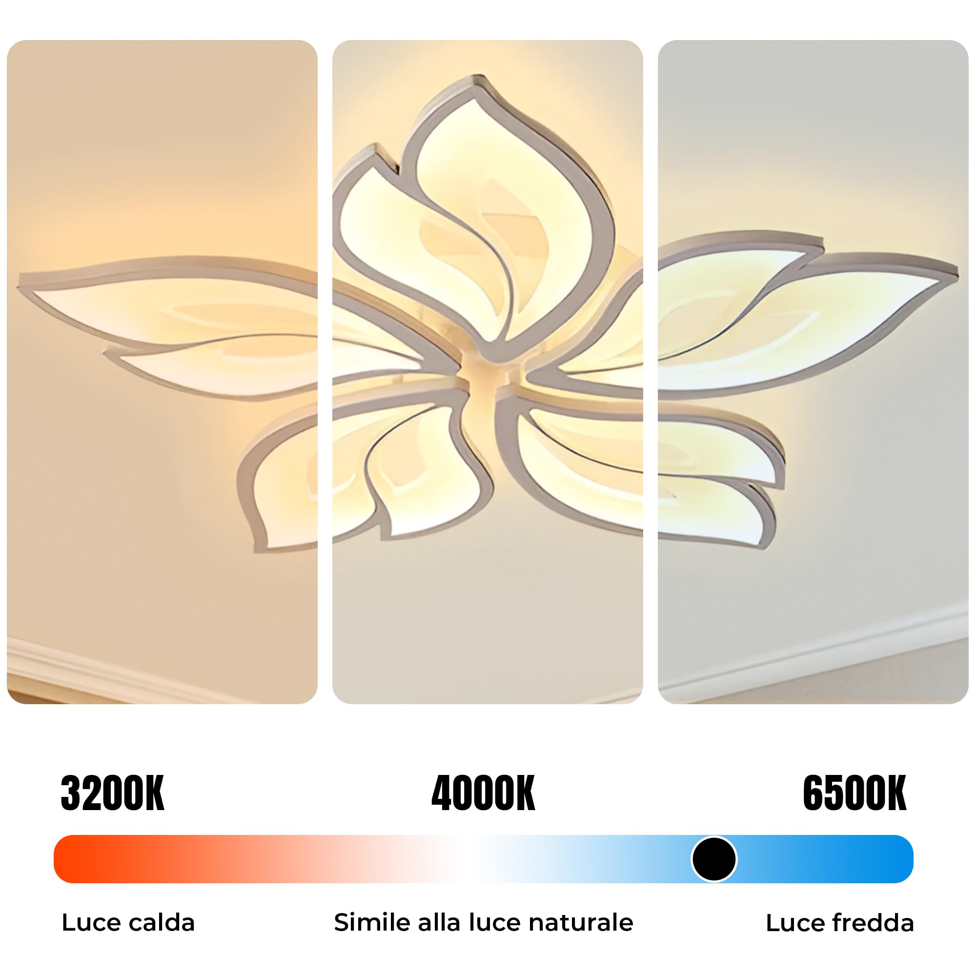 Arcadia Plafoniera Led Soffitto Moderna con Luce Calda e Fredda Dimmerabile con Telecomando e App - Lampadario Camera da Letto Soggiorno Cucina Cameretta Salotto - 4600LM 62W 55Cm - Modello Hypnos