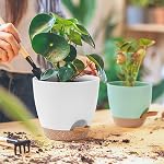 5 Pack Plant Pots Indoor 7/6.5/6/5.5/5 Inch Flower Pots Self Watering Planters for Indoor Plants with Drainage Hole Plastic Plant Pot for African Violet Cactus Flowers Succulents(White)