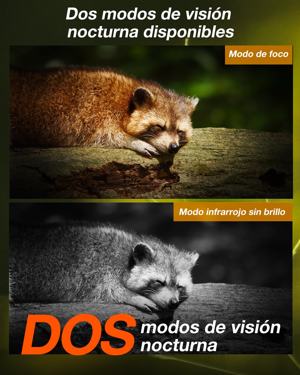 iZEEKER 4G LTE Cámara de Caza Solar, Cámara de Fototrampeo 2K PTZ con Tarjeta SD & SIM Vista Completa de 360° Transmisión en Vivo IR Sin Brillo Visión Nocturna Detección de Movimiento IP65 Impermeable