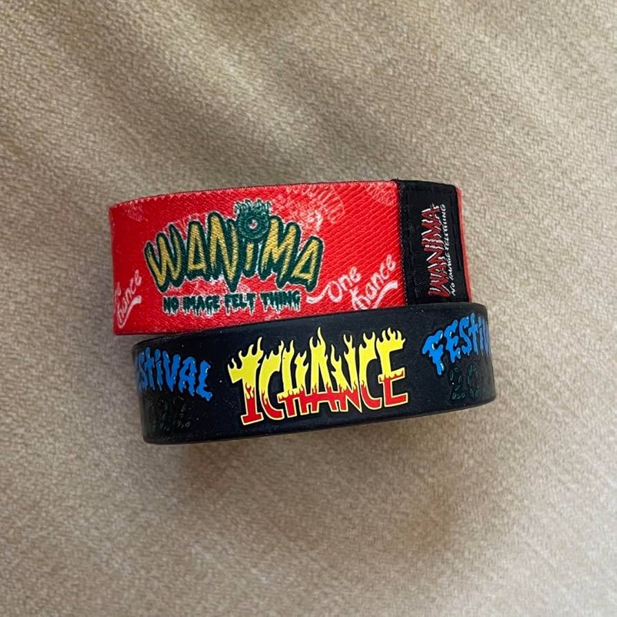 Amazon.co.jp: WANIMA 1 CHANCE FESTIVAL ワンチャンフェス ラババン