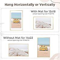 Vista 448 de Fun Memories Portarretratos de metal de 16 x 20 pulgadas con paspartú de 11 x 14 pulgadas, acabado de aluminio cepillado, parte delantera de vidrio