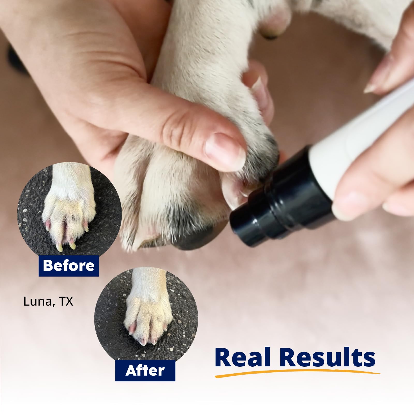 Silent Groom Pro Pet Nail Grinder | Whisper Quiet Claw Trimmer for Dogs, Cats and Other Animals | Safe & Stress Free Nail Grooming, Ideal for Sensitive Dogs of All Breeds & Sizes - image 5