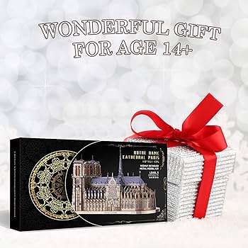 Amazon.com: Piececool 3D Metal Puzzles for Adults and Teens, Notre