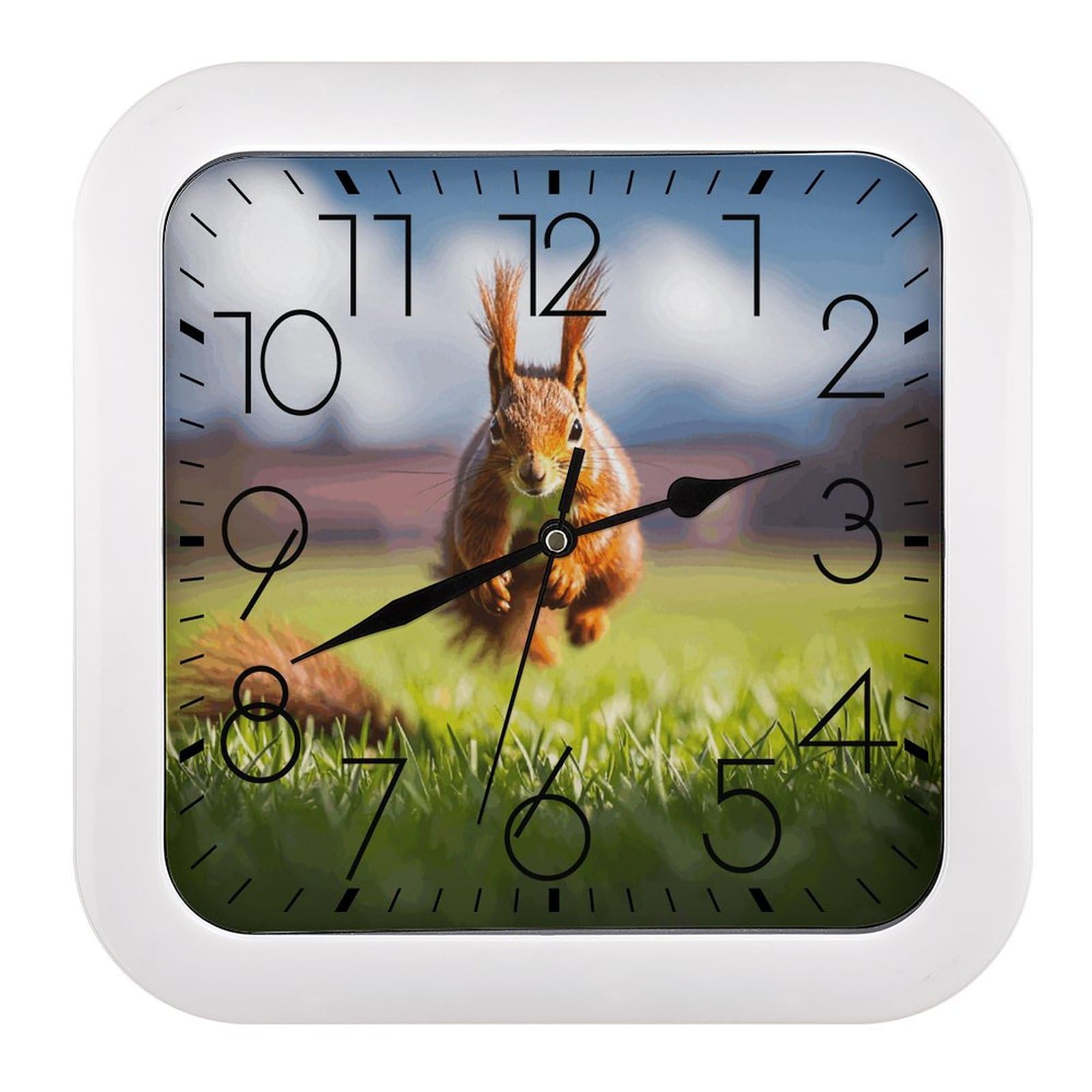 Horloge murale pour maison bureau salle de classe avec motif écureuil de 25,4 cm