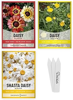 Daisy Seeds for Planting Outdoors Flower Seeds (3 Variety Pack) Alaska Shasta Daisy, Painted Daisy, Yellow Daisy Varieties...