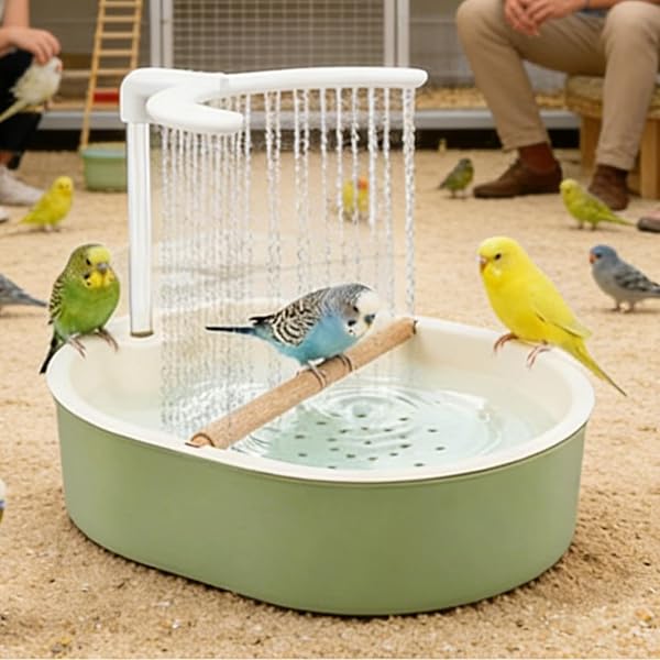 Bebedero para Jaula de Pájaro,Fuente Automática con Alimentación USB,Ducha para Periquitos, Cotilas, Agapornis, Cacatúa, Loros Grises Africanos - para Jaula Interior: Periquitos, Agapornis, Ninfas, Ca - 3