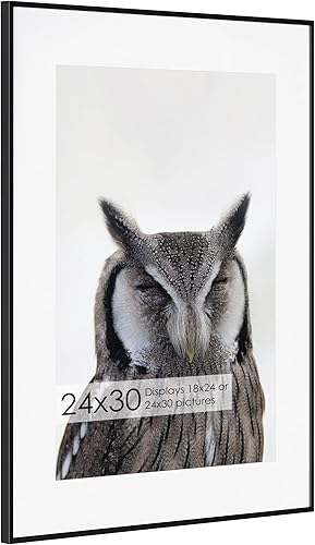 Miniatura 77 de Fun Memories Portarretratos de metal de 16 x 20 pulgadas con paspartú de 11 x 14 pulgadas, acabado de aluminio cepillado, parte delantera de vidrio