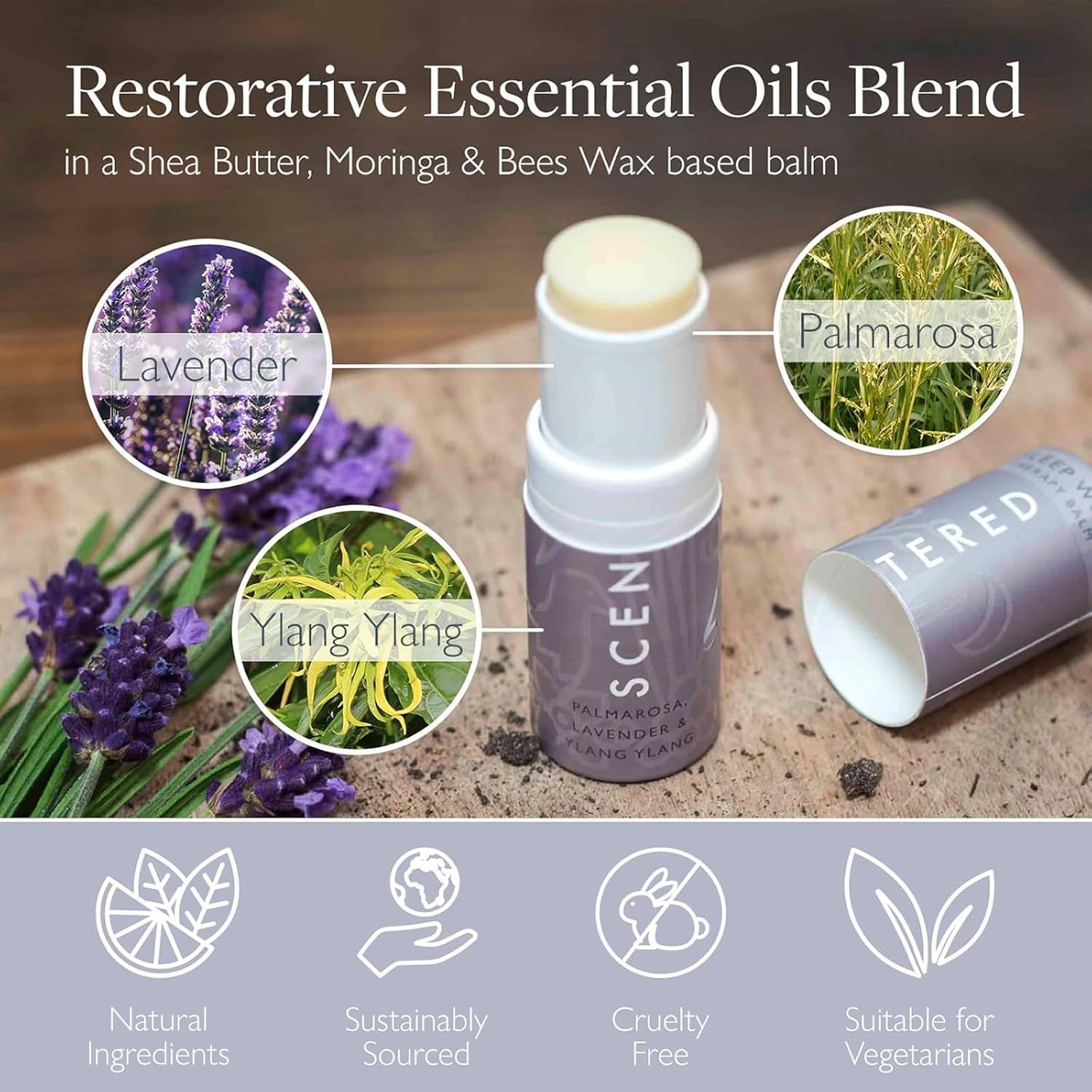 Scentered Sleep Well Aromatherapy Essential Oils Balm Saver Bundle - 2 x 5g Balms & 2 x Mini Travel Balms - for Restful Sleep - Natural Blend of Lavender, Chamomile, Ylang Ylang