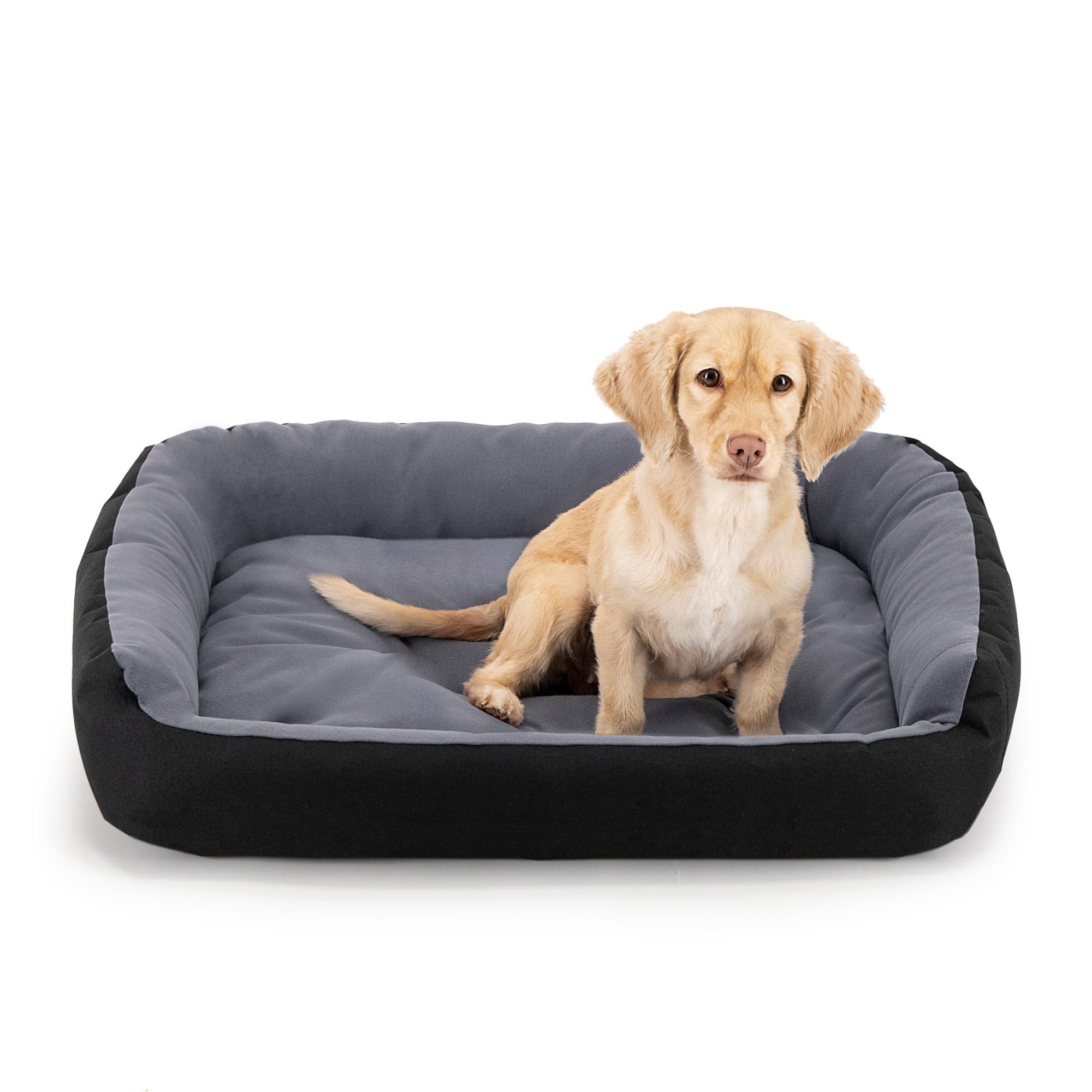 PETS APPAREL HILLS Cama para Perro — Resistente