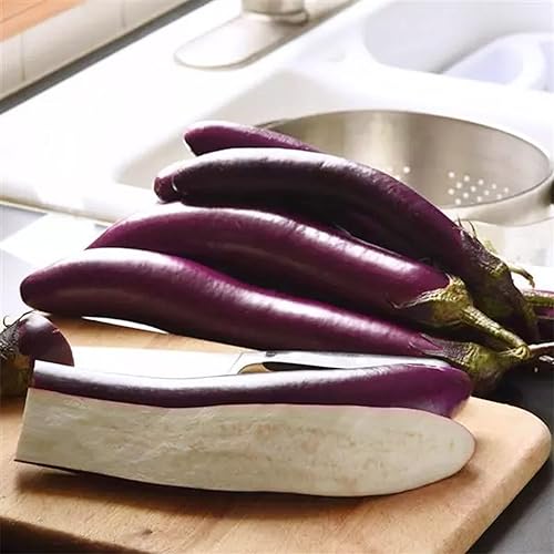 Miniatura 2 de 100 semillas largas de berenjena morada, sin OMG, semillas de jardín frescas, productivas de rápido crecimiento, semillas de berenjenas Pingtung -