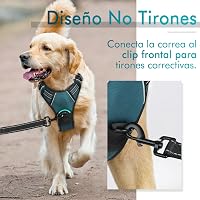 Ham pentru câini rabbitgoo, mărimea M, verde închis, cu protecție pe piept, anti-tragere, cu benzi reflectorizante, respirabil, căptușit, reglabil, pentru dresaj 5