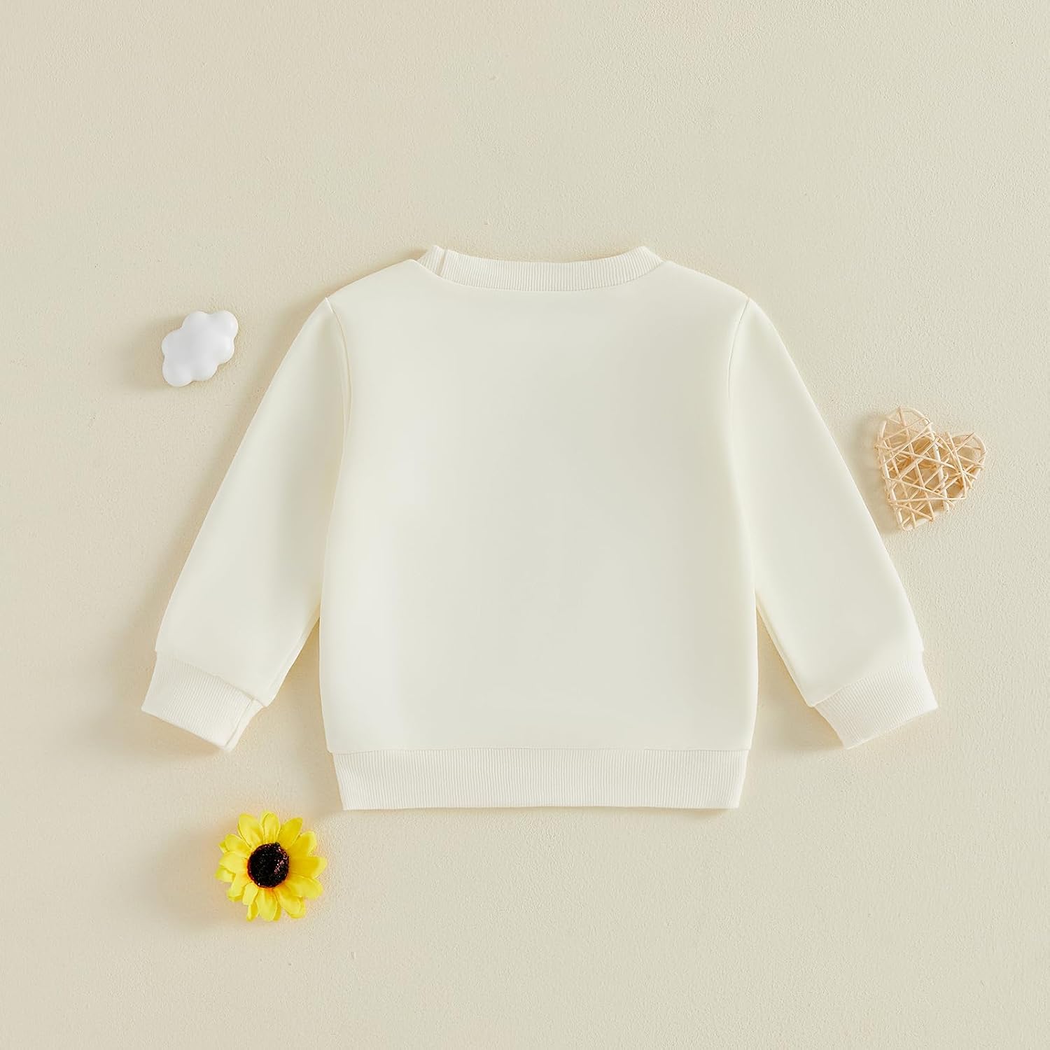 Sejardin Toddler Baby Girl Sweatshirt Fall Outfit Letter Graphic Print Tops | Baby Girl Spring Clothes Long Sleeve Crew Neck Pullover Sweatshirts Little Kid Cute Outfit