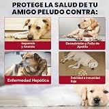 Ver la foto 6