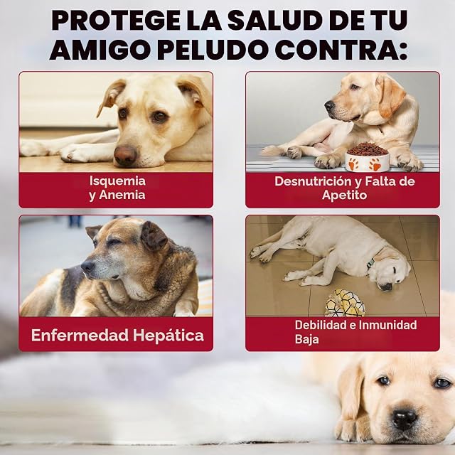 Foto 6 de 6 de JSBNQRMZ Suplemento de Hierro Líquido para Perros - para Anemia y Cansancio