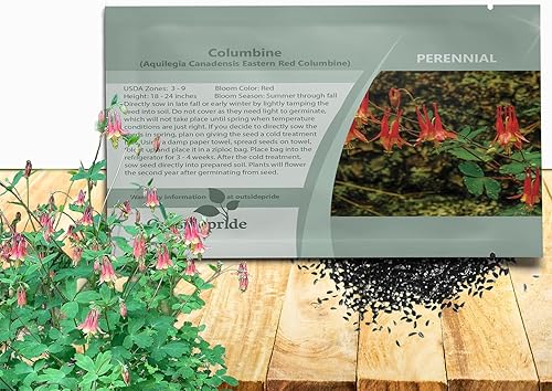 Miniatura 1 de Outsidepride Semillas de columbina roja oriental – 2000 piezas de semillas de flores perennes, fáciles de cultivar para plantar, adecuadas para