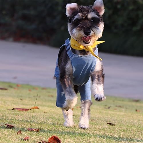 Miniatura 5 de Overol de mezclilla para perro, disfraz de gato y mascota, overol de mezclilla para Yorkie Bulldog, Azul