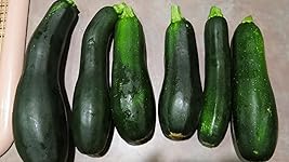 Review Image by Judy L. Judy L.