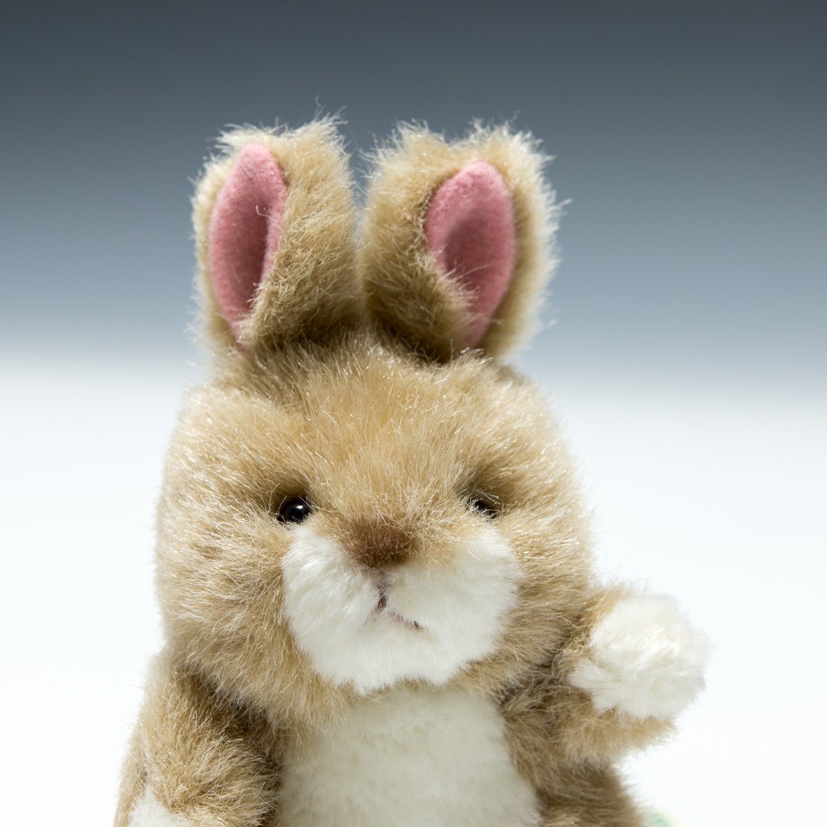 Amazon.co.jp: たけのこ プチプチらんど森のなかま ウサギ ベージュ