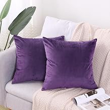 Hibate 2 Pack Soft Velvet Couch Throw Pillow Covers 18x18 Inch for Sofa Living Room Bedroom Purple