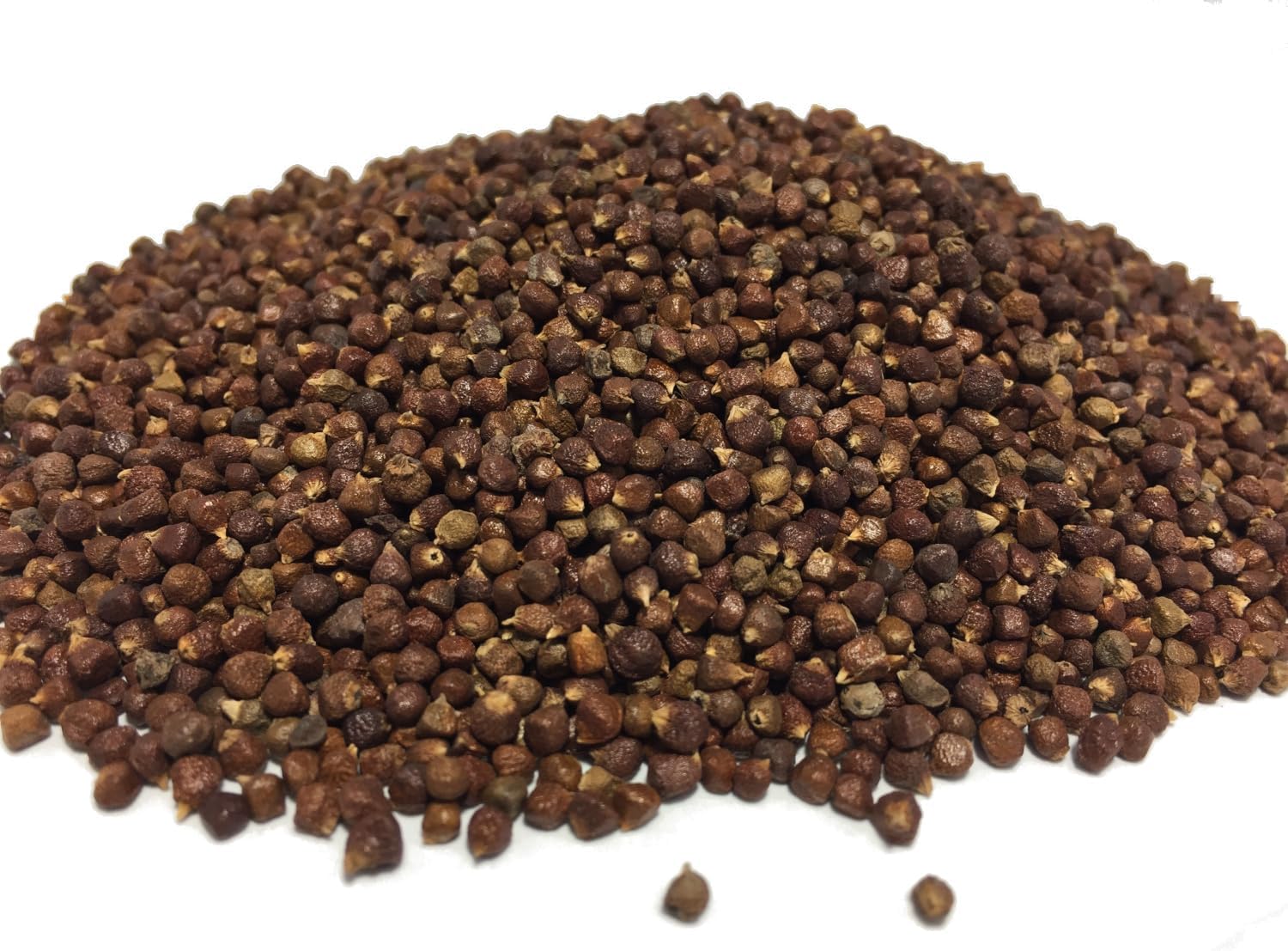 Grains of Paradise - (3 lb. Bag) - KOSHER - also known as: Alligator Pepper, Melegueta Pepper, Guinea Grains (Small & Bulk Options available)