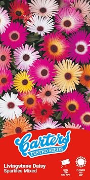 Carters Livingstone Daisy Seeds Sparkles Mix Mesembryanthemum Flower Seeds Colourful Rockery Bedding Plants Approx 300 Seeds