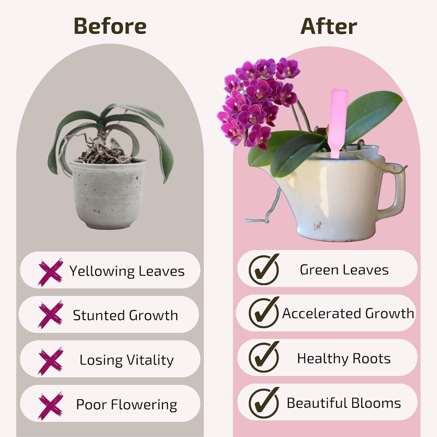 Liquid Orchid Fertilizer Spikes | Ready-to-Use Orchid Food Spikes & Orchid Plant Food for Blooming, Fertilizer for Orchids (16 Drip Feeders)