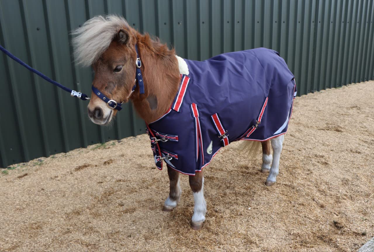 Ruggles 50g V2 Turnout Rug for Shetland Pony Donkey Miniature Horse Section A | 1200D Teflon Coated Fabric | Perfect for Milder Wet Weather (Navy, 3')
