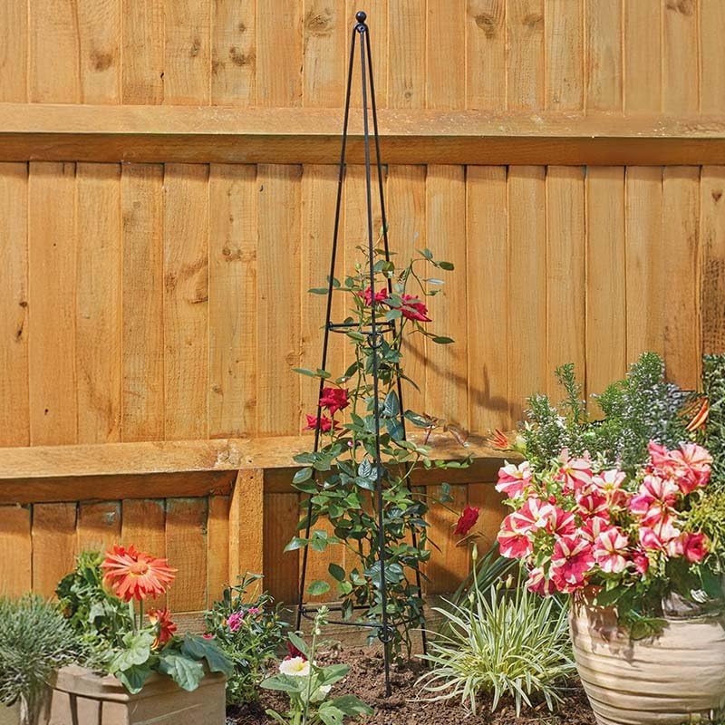 Easy Obelisk - 1.2m - Quick Fold Out Low Cost Powder Coated Metal Climbing Plant Support Structure