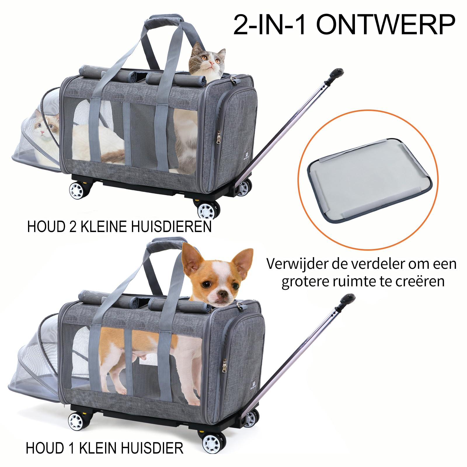 Praktische reismand voor Maine Coon katten