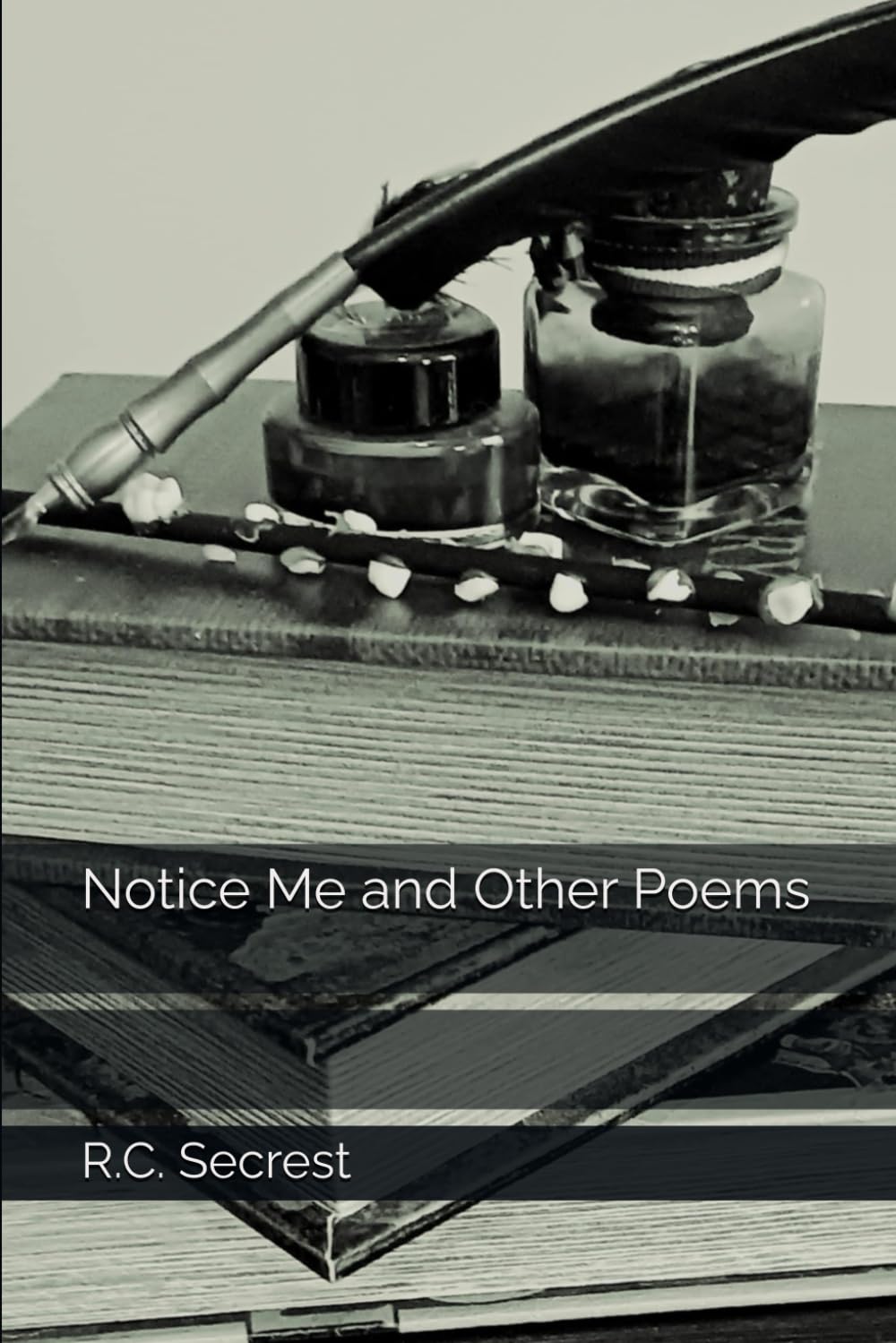 Notice Me and Other Poems
