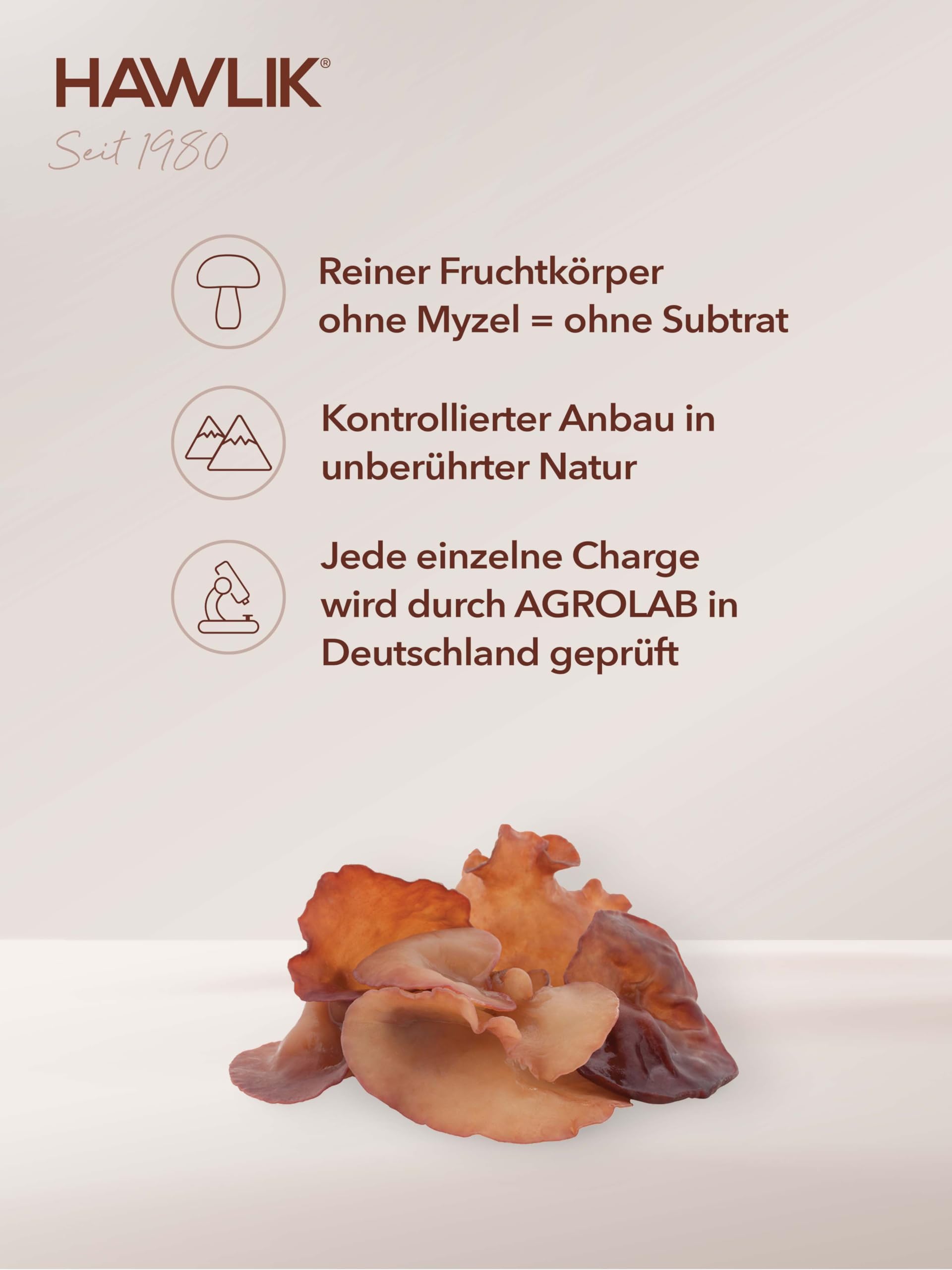 HAWLIK Vitalpilze Bio Auricularia Extrakt+Pulver Kapseln - 120 Kapseln im Blister - Mit Vitamin C - Extrakt & Pulver - Natürlicher Anbau - Vegan