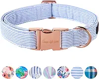 Unique Style Paws Coleira de cachorro listrada azul com fivela de metal para cães pequenos, médios e grandes