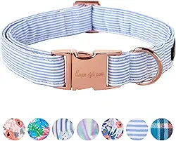 Unique Style Paws Coleira de cachorro listrada azul com fivela de metal para cães pequenos, médios e grandes