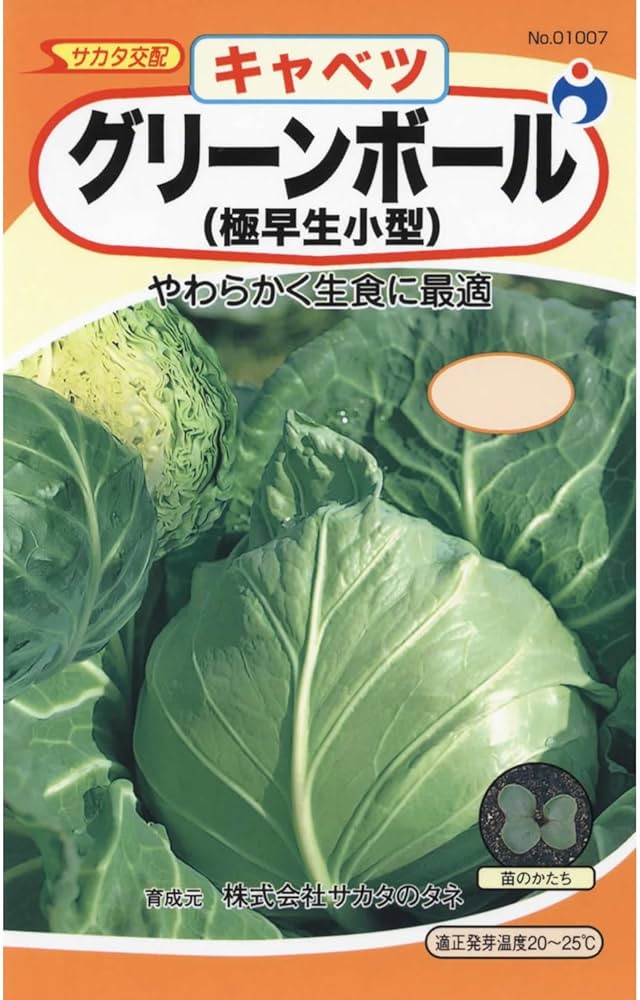 Amazon | サカタ交配 グリーンボール甘藍 キャベツ種子 | 野菜