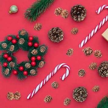 200pcs Christmas Natural Pinecone Mini Autumn Decoration Pinecone Ornaments Bulk Small Pinecone DIY Craft Thanksgiving Fall Winter Christmas Wedding Decoration Vase Fillers Decoration